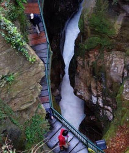 a group of people walking down a stairs next to a river at Villa Silvana in Perledo