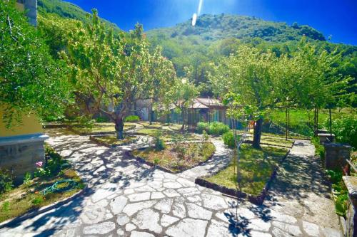 a garden with trees and a mountain in the background at Villa Silvana in Perledo