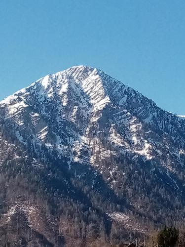 a snow covered mountain with trees on top of it at Ausseer Kleeblatt in Bad Aussee