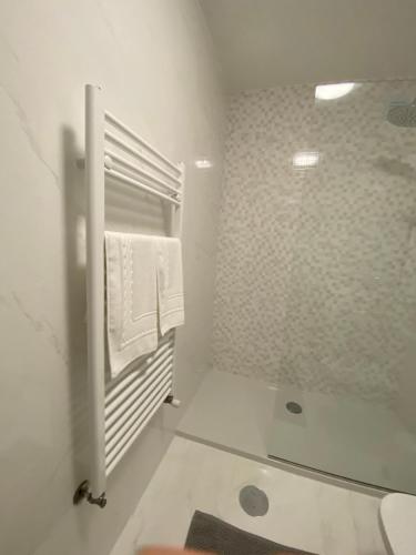 阿羅卡的住宿－Casa da Vila，带淋浴和卫生间的白色浴室