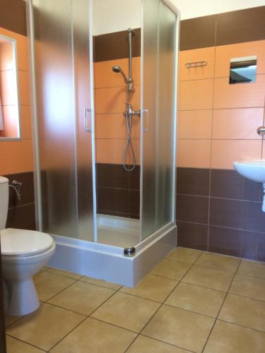 a bathroom with a shower and a toilet and a sink at Ekomarina - Pokój noclegowy 1 in Węgorzewo