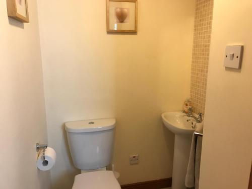 a bathroom with a toilet and a sink at Craigs Rock Cottage Cookstown in Cookstown