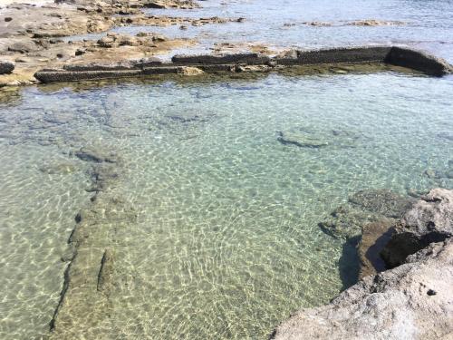 Φυσικό τοπίο κοντά σε αυτός ο ξενώνας