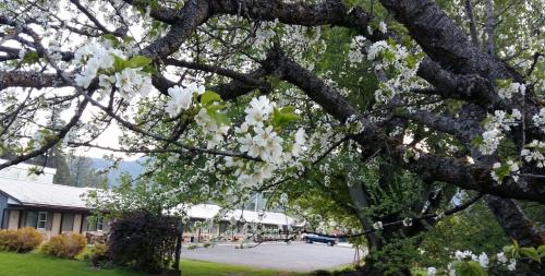 Lakeview Motel – Photos 2