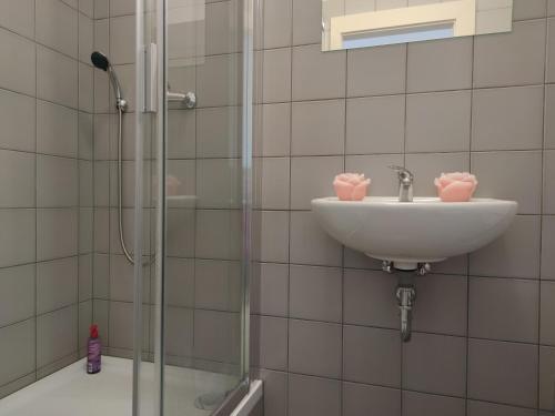 a bathroom with a sink and a shower at Penzion U Synagogy in Jičín