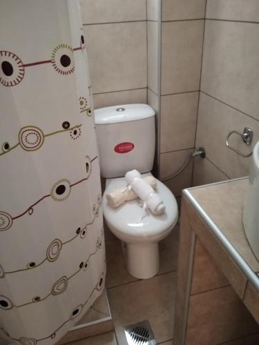 a bathroom with a toilet and a shower curtain at LOUKIA'S HOUSE in Skala Kallirakhis