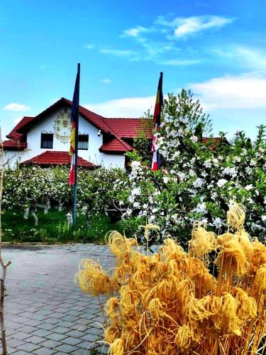 a building with flags and flowers in front of it at Pensiunea Apfelhaus in Cisnadioara
