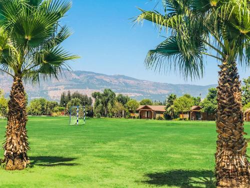 two palm trees in a green field with a goal at The Village- Jordan Riverside Travel Hotel in Sde Nehemia