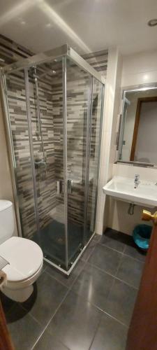 a bathroom with a shower and a toilet and a sink at Hostal del campo in Arévalo