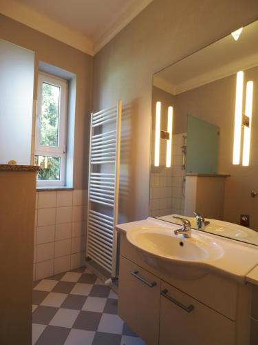 克拉根福的住宿－瑞茲公寓，一间带水槽和镜子的浴室