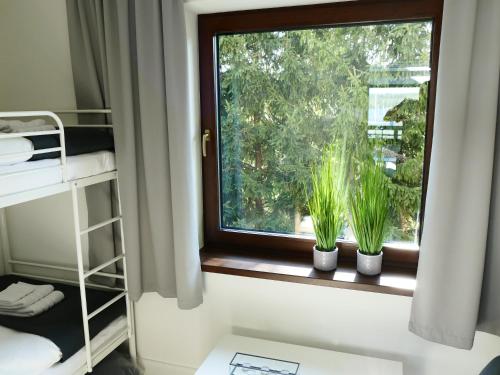 Κήπος έξω από το Apartamenty Just