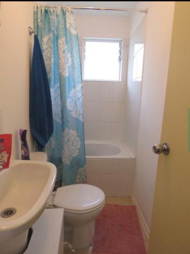 a bathroom with a toilet and a sink and a tub at Greyhouse in Puerto Natales