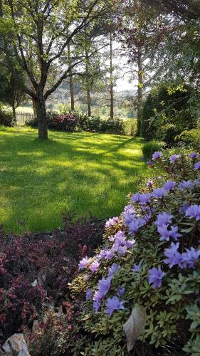Ein Garten an der Unterkunft Chalupa na Šumavě, od soboty do soboty
