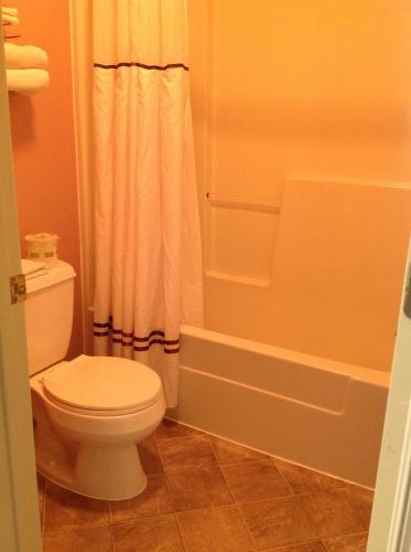 a bathroom with a toilet and a shower at Village Inn in Lovingston
