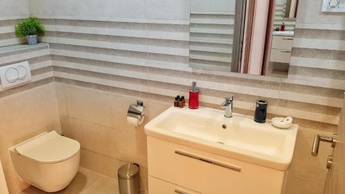 a bathroom with a toilet and a sink at Apartments Nancy in Kotor