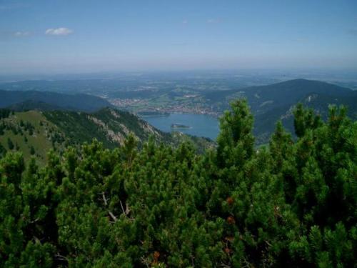 an aerial view of a forest of trees and a lake at Apartment Seeglück am Schliersee - modern, zentral, perfekt für Familien in Schliersee