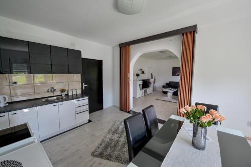 Kuchyň nebo kuchyňský kout v ubytování Apartman DORA