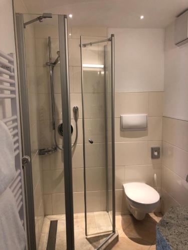 a glass shower in a bathroom with a toilet at Hotel Gasthof Seefelder Hof in Dießen am Ammersee