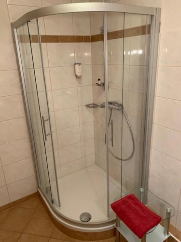 a shower with a glass door in a bathroom at Hotel Sonnenhof in Bad Wildbad