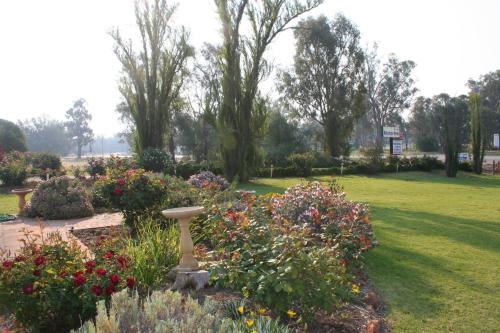 Κήπος έξω από το Newell Motor Inn Narrandera