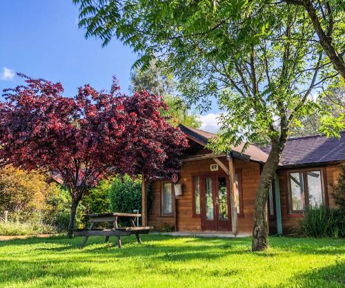 a log cabin with a picnic table in the yard at The Village- Jordan Riverside Travel Hotel in Sede Neẖemya