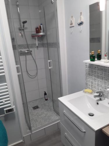 a bathroom with a shower and a sink at joli duplex proche commerces et mer in Stella-Plage