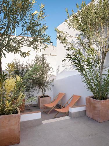 a row of chairs and trees in a courtyard at VAC LUXURY HOME SEVILLA in Seville