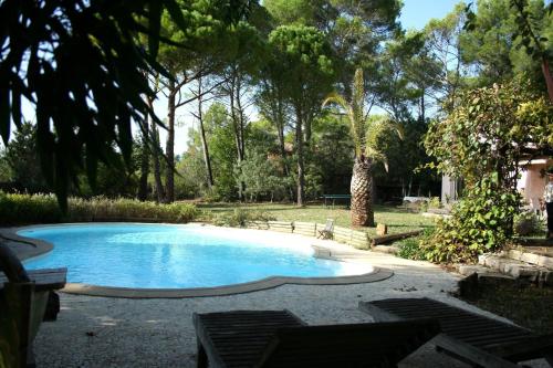 - une piscine dans une cour arborée dans l'établissement Villa au calme sans vis à vis, à Fayence