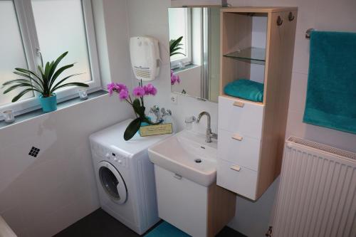 La salle de bains est pourvue d'un lave-linge et d'un lavabo. dans l'établissement Ferienwohnung Apartment Haus Ager, à Thiersee