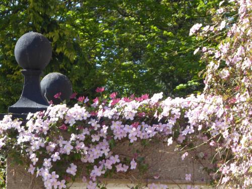 Gallery image of O'Harabrook Country House in Ballymoney