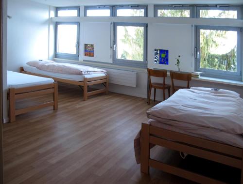 um quarto com duas camas e duas janelas em Hôtel Centre Saint-François em Delémont