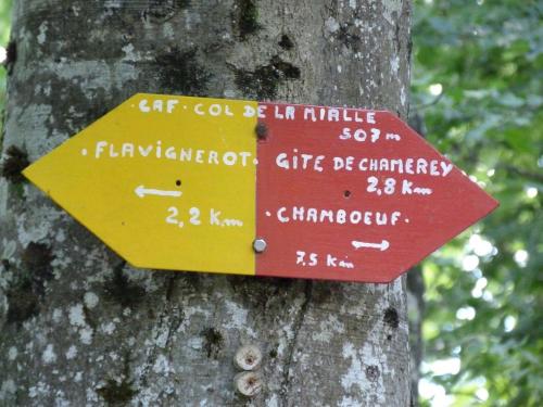 a sign on the side of a tree at Le Flav - Charmant appartement à 10 mn de Dijon in Flavignerot