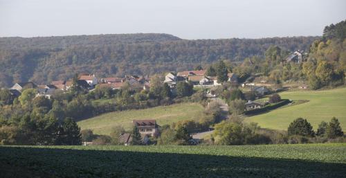 a village in the middle of a green field at Le Flav - Charmant appartement à 10 mn de Dijon in Flavignerot