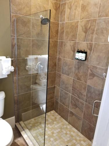 a bathroom with a toilet and a shower stall at 1905 Basin Park Hotel in Eureka Springs