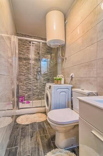 a bathroom with a toilet and a shower at SILVER luxury in Pula