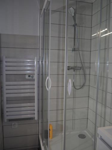 La salle de bains est pourvue d'une douche avec une porte en verre. dans l'établissement Le Millotet - Agréable studio à 2 mn Dijon Gare, à Dijon