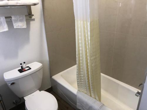 a bathroom with a white toilet and a shower at Baymont by Wyndham Kingwood in Kingwood