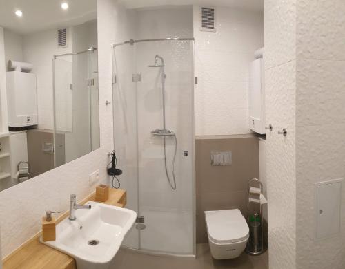 a bathroom with a shower and a sink and a toilet at Apartament Top Park View Polanica Zdrój in Polanica-Zdrój