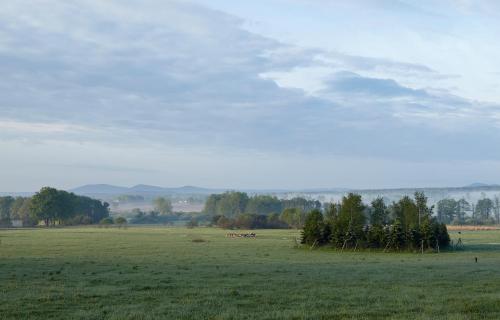 a green field with trees in the middle of it at Residence Safari Resort - Teepee Village in Borovany