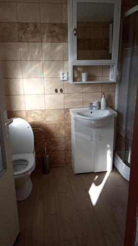 Koupelna v ubytování Dvorek tety Madly