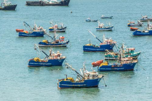 a group of blue boats in the water at MDS Hotel Concepción in Concepción