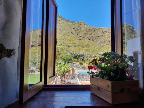 a room with a window with flowers in a box at Viña Camello in Buenavista del Norte