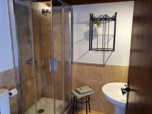 a bathroom with a shower and a sink at Viña Camello in Buenavista del Norte