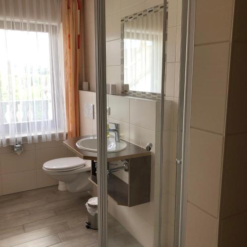a bathroom with a toilet and a sink and a shower at Landgasthof Fischer Veri in Mitterfels