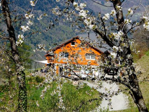 an orange house on a hill with flowering trees at L Ame et Son du Coeur in Dorénaz