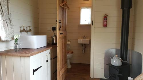 a small bathroom with a sink and a toilet at Wilderness B&B 3 Self Contained Rooms Nr Sissinghurst in Headcorn