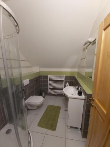 a bathroom with a toilet and a sink and a shower at Ubytování pod rozhlednou in Skuteč