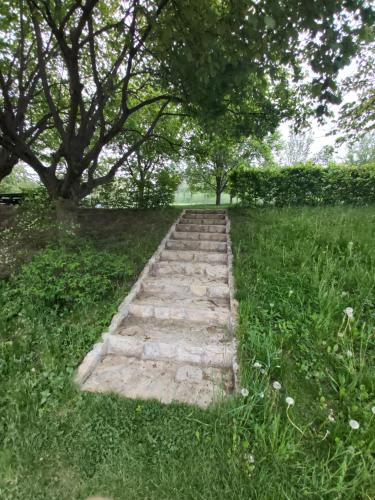a stone path in a field with trees at Ubytování pod rozhlednou in Skuteč