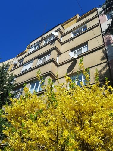 a tall building with yellow trees in front of it at Затишні смарт-квартири в історичному центрі! in Uzhhorod