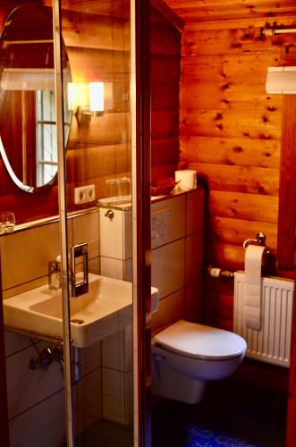 a bathroom with a toilet and a sink at Ferienhaus Thelen in Niederhersdorf